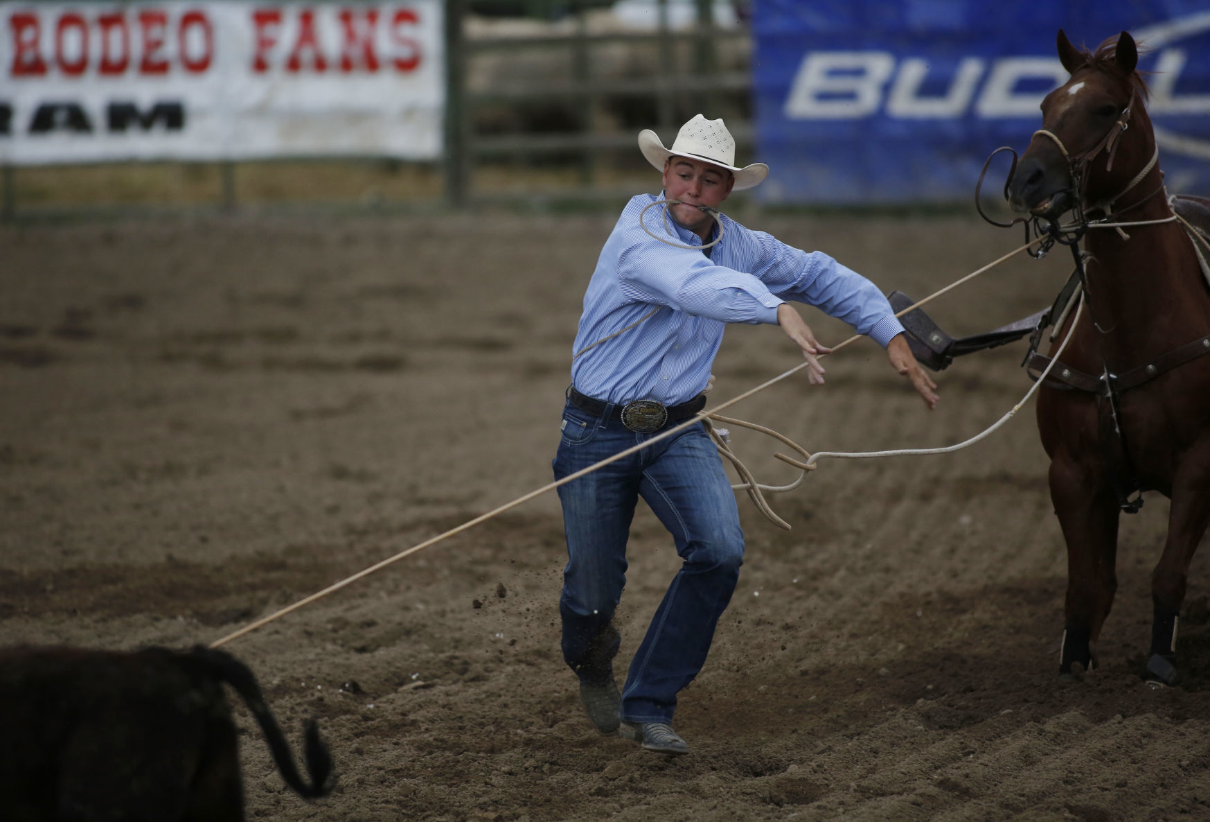 Central Wyoming Rodeo